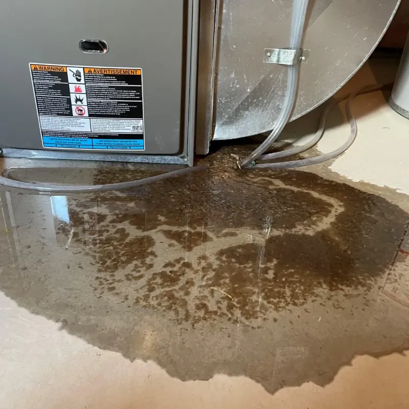 Appliance Leak Cleanup in Wake Forest, NC